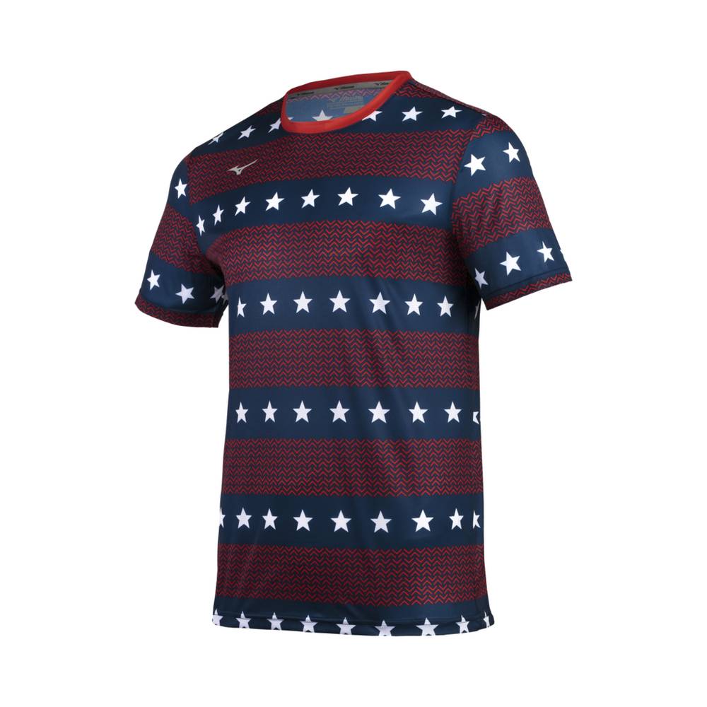 Panske Tričko Mizuno Printable Short Sleeve Bezecke Červené/Modre Vypredaj WJXE73651